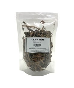 Llantén